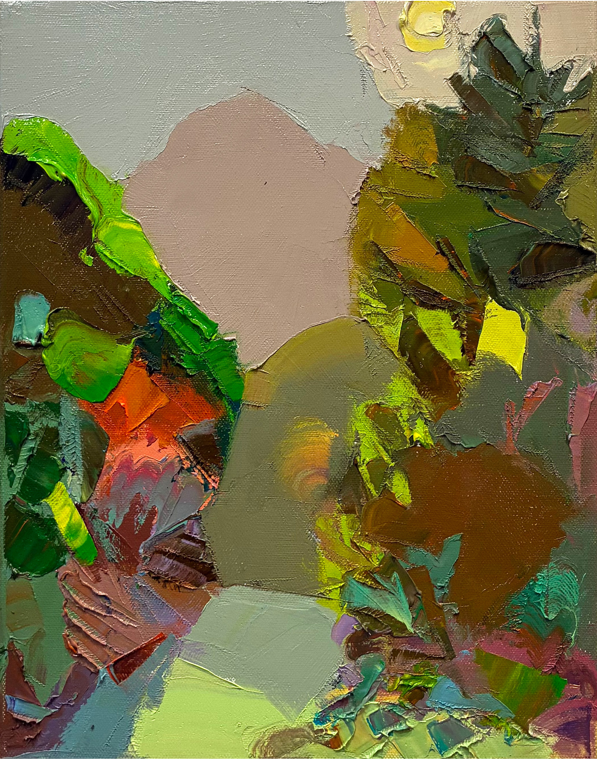 Landscapes 2025-2026